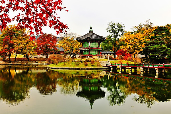 포토 JPG 주간 나무 자연 서울 물그림자 풍경 사람없음 야외 가을풍경 가을 연못 정자 경복궁 향원정 가교 국내포토 자연요소 식물 건축물 계절 한국 그림자 궁전 생태계 누각 파일형식 가을_계절