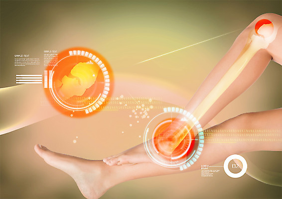 PSD 편집 편집이미지 여자 의학 스마트라이프 신체부위 다리 디스크 스마트 분석 검색 관절 홀로그램 이미지편집 라이프스타일 컨셉 뼈 사람 질병 파일형식