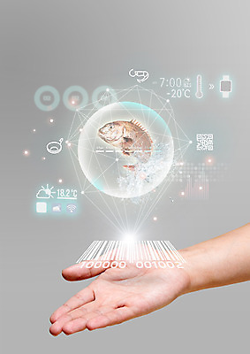 PSD 편집 편집이미지 손 식재료 한손 스마트라이프 어류 한명 신체부위 스마트 분석 검색 유기농 바코드 터치스크린 폴리곤 이미지편집 1 라이프스타일 웰빙 컨셉 사람 수중동물 파일형식