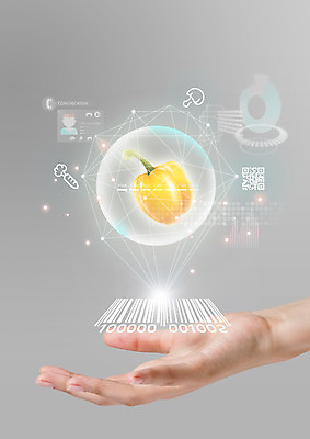 PSD 편집 편집이미지 손 식재료 피망 한손 스마트라이프 한명 신체부위 스마트 분석 검색 유기농 바코드 터치스크린 폴리곤 이미지편집 1 라이프스타일 웰빙 컨셉 채소 사람 파일형식