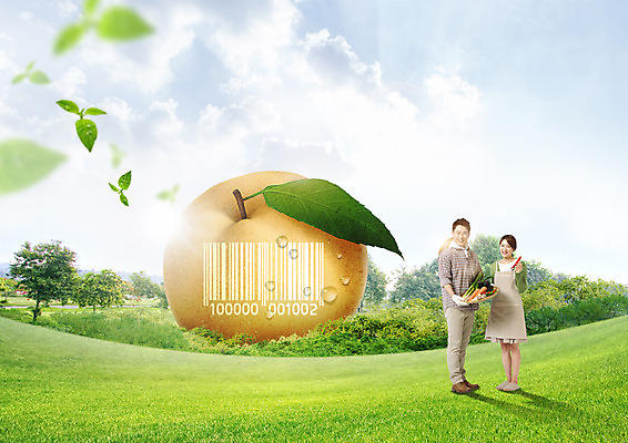 PSD 나무 구름 편집 편집이미지 부부 여자 남자 40대 채소 하늘 나뭇잎 스마트라이프 잔디 성인 두명 바구니 농사 한국인 수확 배 스마트 유기농 바코드 이미지편집 자연요소 식물 라이프스타일 웰빙 커플 중년 컨셉 잎 농업 과일 사람 동양인 파일형식