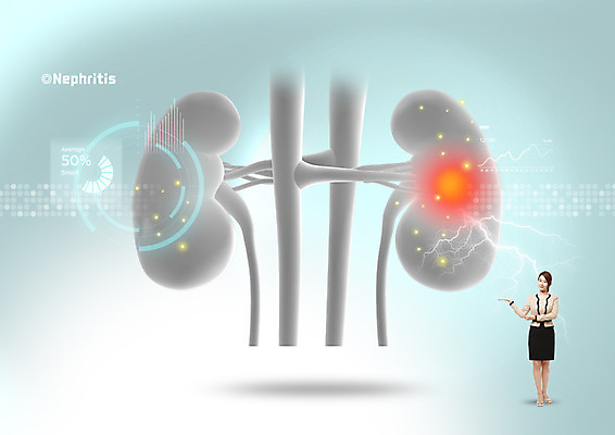 PSD 편집 편집이미지 여자 의학 안내 한명 서기 20대 성인 한국인 비즈니스우먼 신장 질병 이미지편집 1 비즈니스 모션 사람 동양인 청년 직장인 비뇨기관 파일형식