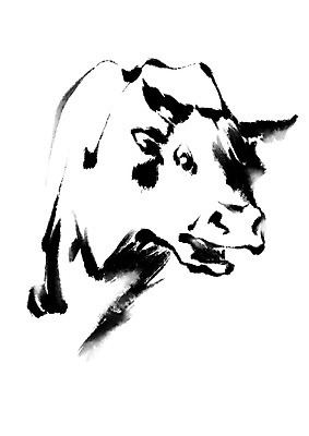 PSD 동물 한마리 일러스트 캘리그라피 사람없음 달리기 가축 십이지신 소 황소 국내일러스트 1 포유류 모션 파일형식