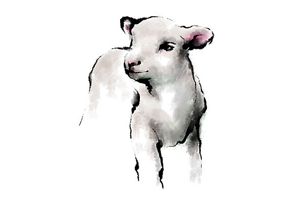 PSD 동물 한마리 야생동물 새끼 일러스트 캘리그라피 사람없음 십이지신 양 국내일러스트 1 포유류 파일형식