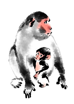 PSD 동물 야생동물 새끼 두마리 일러스트 캘리그라피 사람없음 십이지신 원숭이 어미 국내일러스트 2 포유류 파일형식