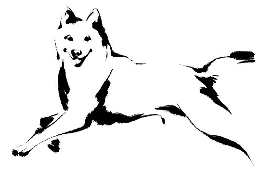 PSD 동물 한마리 일러스트 캘리그라피 사람없음 십이지신 개 진돗개 반려 시바견 국내일러스트 1 포유류 파일형식