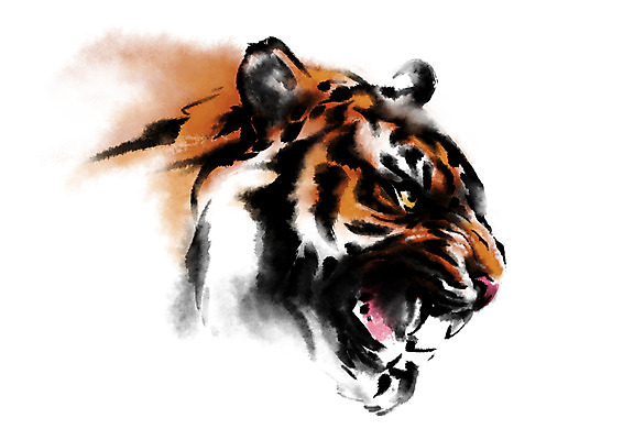 PSD 동물 한마리 얼굴 야생동물 일러스트 캘리그라피 사람없음 십이지신 호랑이 맹수 포효 국내일러스트 1 포유류 신체부위 외침 파일형식