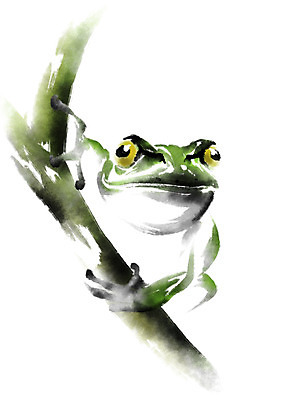 PSD 동물 한마리 일러스트 캘리그라피 매달리기 양서류 사람없음 나뭇가지 청개구리 국내일러스트 나무 1 모션 개구리 파일형식