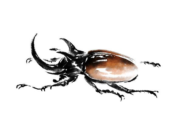 PSD 동물 한마리 곤충 일러스트 캘리그라피 사람없음 딱정벌레 장수풍뎅이 국내일러스트 1 파일형식