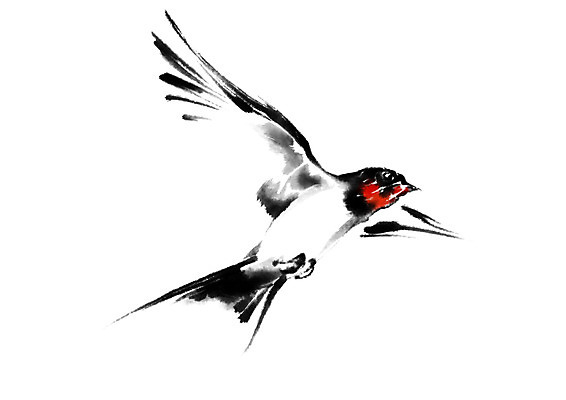 PSD 동물 한마리 일러스트 캘리그라피 조류 사람없음 날갯짓 제비 국내일러스트 1 파일형식
