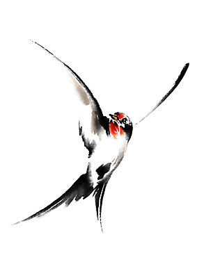 PSD 동물 한마리 일러스트 캘리그라피 조류 사람없음 날갯짓 제비 국내일러스트 1 파일형식