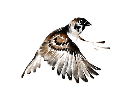 PSD 동물 한마리 일러스트 캘리그라피 조류 사람없음 날갯짓 국내일러스트 1 파일형식