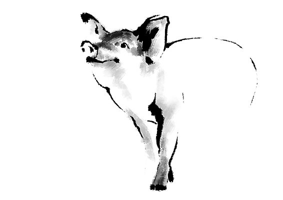 PSD 동물 한마리 일러스트 캘리그라피 사람없음 가축 십이지신 돼지 국내일러스트 1 포유류 파일형식