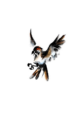 PSD 동물 한마리 일러스트 캘리그라피 조류 사람없음 날갯짓 국내일러스트 1 파일형식