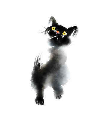 PSD 동물 한마리 일러스트 캘리그라피 사람없음 반려동물 고양이 올려보기 반려 국내일러스트 1 포유류 모션 파일형식