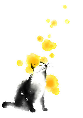 PSD 동물 한마리 일러스트 캘리그라피 사람없음 반려동물 고양이 반려 국내일러스트 1 포유류 파일형식