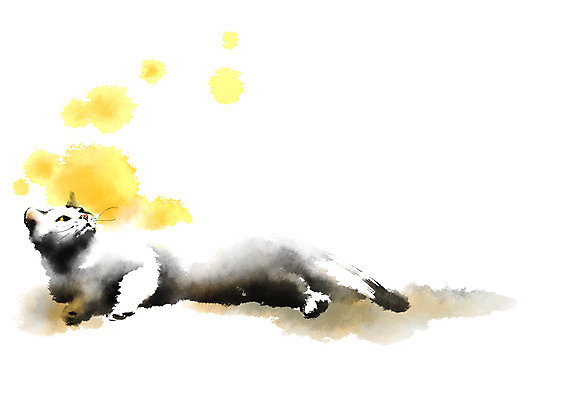 PSD 동물 한마리 일러스트 캘리그라피 사람없음 반려동물 눕기 고양이 반려 국내일러스트 1 포유류 모션 파일형식