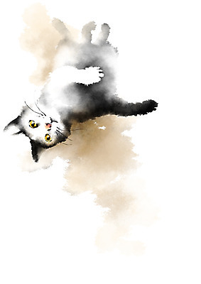 PSD 동물 한마리 일러스트 캘리그라피 사람없음 반려동물 눕기 고양이 반려 국내일러스트 1 포유류 모션 파일형식