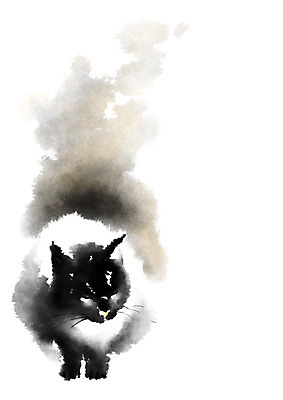 PSD 동물 한마리 일러스트 캘리그라피 사람없음 반려동물 고양이 반려 국내일러스트 1 포유류 파일형식