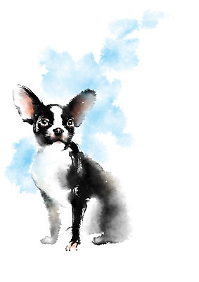 PSD 동물 한마리 일러스트 캘리그라피 사람없음 개 반려 국내일러스트 1 포유류 파일형식