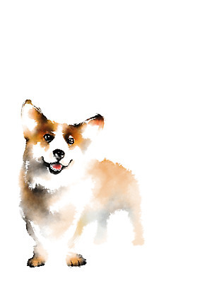 PSD 동물 한마리 일러스트 캘리그라피 사람없음 개 반려 웰시코기 국내일러스트 1 포유류 파일형식