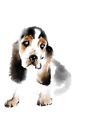 PSD 동물 한마리 일러스트 캘리그라피 사람없음 개 바셋하운드 반려 국내일러스트 1 포유류 하운드 파일형식