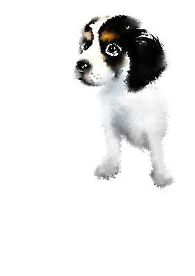 PSD 동물 한마리 일러스트 캘리그라피 사람없음 개 비글 반려 국내일러스트 1 포유류 파일형식