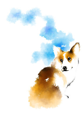 PSD 동물 한마리 일러스트 캘리그라피 사람없음 개 반려 웰시코기 국내일러스트 1 포유류 파일형식