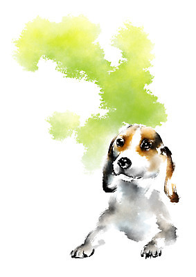 PSD 동물 한마리 일러스트 캘리그라피 사람없음 개 비글 반려 국내일러스트 1 포유류 파일형식