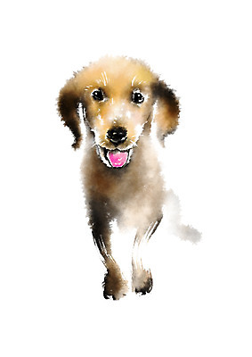 PSD 동물 한마리 일러스트 캘리그라피 사람없음 개 메롱 반려 국내일러스트 1 포유류 모션 파일형식