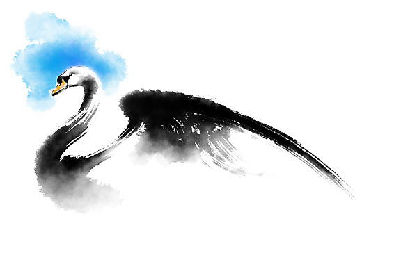 PSD 동물 한마리 일러스트 캘리그라피 조류 붓터치 사람없음 백조 국내일러스트 1 파일형식