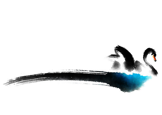 PSD 동물 한마리 일러스트 캘리그라피 조류 붓터치 사람없음 백조 국내일러스트 1 파일형식