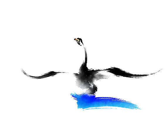 PSD 동물 한마리 일러스트 캘리그라피 조류 붓터치 사람없음 백조 날갯짓 국내일러스트 1 파일형식