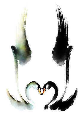 PSD 동물 두마리 일러스트 캘리그라피 조류 붓터치 사람없음 마주보기 하트 백조 국내일러스트 모양 2 모션 파일형식