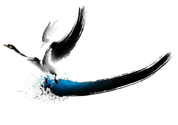 PSD 동물 한마리 일러스트 캘리그라피 조류 붓터치 사람없음 백조 날갯짓 국내일러스트 1 파일형식