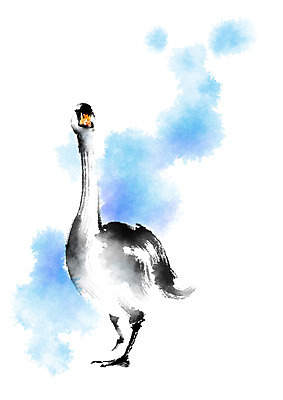 PSD 동물 한마리 일러스트 캘리그라피 조류 붓터치 사람없음 백조 국내일러스트 1 파일형식