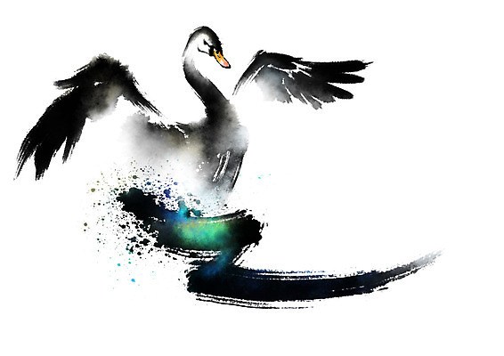 PSD 동물 한마리 일러스트 캘리그라피 조류 붓터치 사람없음 백조 날갯짓 국내일러스트 1 파일형식