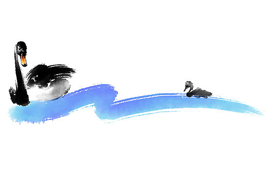 PSD 동물 새끼 두마리 일러스트 캘리그라피 조류 붓터치 사람없음 어미 백조 국내일러스트 2 파일형식