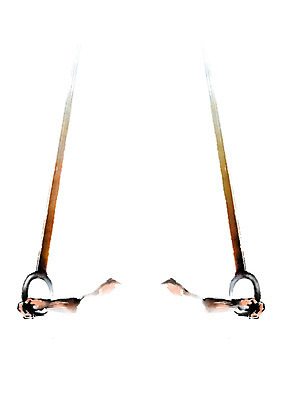 PSD 손 스포츠 일러스트 캘리그라피 한명 신체부위 양손 균형 체조선수 팔 기계체조 링체조 국내일러스트 1 운동선수 사람 체조 파일형식