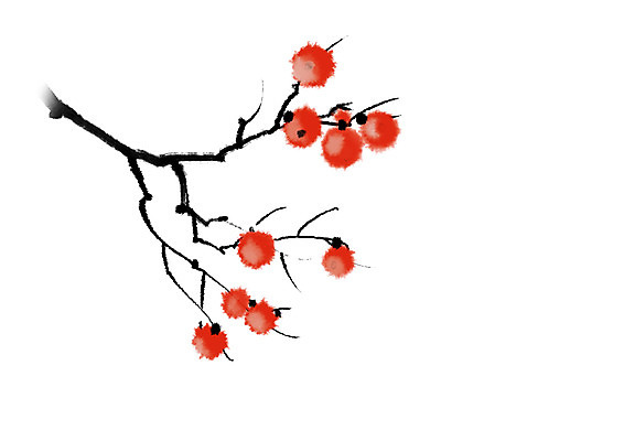 PSD 식물 열매 일러스트 캘리그라피 감 사람없음 나뭇가지 감나무 국내일러스트 나무 과일 파일형식