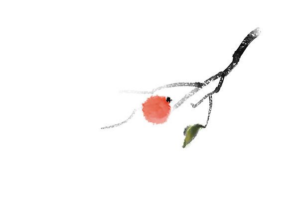 PSD 식물 열매 일러스트 캘리그라피 감 사람없음 나뭇가지 감나무 국내일러스트 나무 과일 파일형식