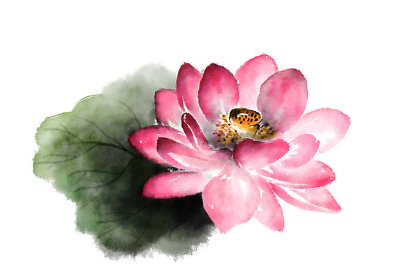 PSD 식물 꽃 분홍색 한송이 일러스트 캘리그라피 연꽃 사람없음 연잎 국내일러스트 1 컬러 잎 송이 파일형식