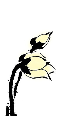 PSD 식물 꽃 일러스트 캘리그라피 사람없음 꽃봉오리 국내일러스트 파일형식