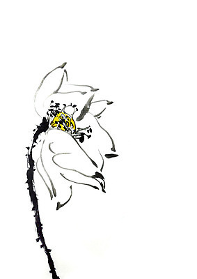 PSD 식물 꽃 한송이 일러스트 캘리그라피 연꽃 사람없음 국내일러스트 1 송이 파일형식