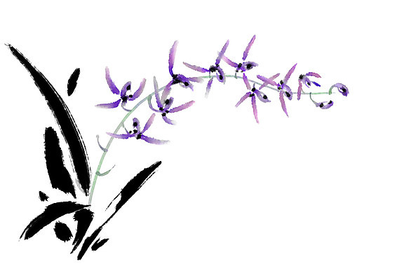 PSD 식물 꽃 일러스트 캘리그라피 사람없음 난초 난초꽃 국내일러스트 파일형식