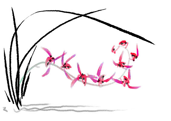 PSD 식물 꽃 일러스트 캘리그라피 사람없음 난초 난초꽃 국내일러스트 파일형식