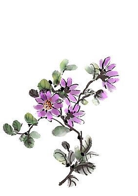 PSD 식물 꽃 잎 일러스트 캘리그라피 꽃나무 사람없음 보라색 나뭇가지 국내일러스트 나무 컬러 파일형식