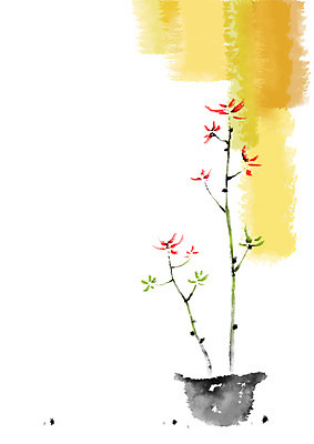 PSD 식물 꽃 화분 일러스트 캘리그라피 사람없음 국내일러스트 파일형식