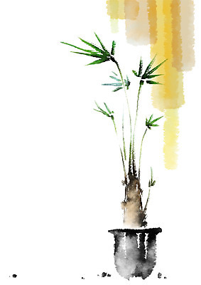 PSD 식물 화분 잎 일러스트 캘리그라피 사람없음 관엽식물 국내일러스트 파일형식