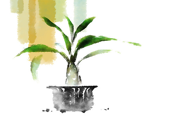 PSD 식물 화분 잎 일러스트 캘리그라피 나뭇잎 사람없음 관엽식물 국내일러스트 파일형식